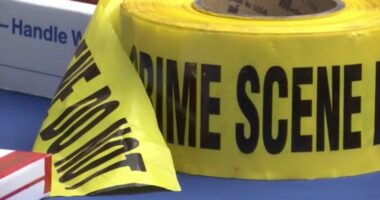 Crime rate drops in Georgia according to new report