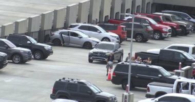 Cruisers could pay more for parking to offset tariffs at Port Canaveral