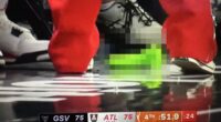 Crypto traders take responsibility for throwing sex toys at WNBA games