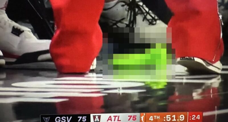 Crypto traders take responsibility for throwing sex toys at WNBA games