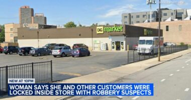 Customers locked inside DG Market on Pershing Road in Bronzeville, Chicago with thieves, woman says | Video