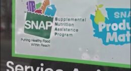 Cyberattack still affecting Coastal Georgia SNAP users