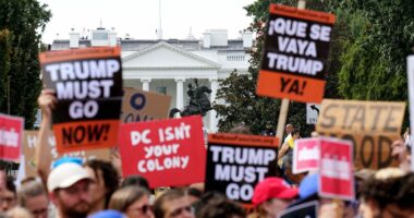 DC paid protester requests surge 400% amid Trump’s federal takeover of city police: crowd company