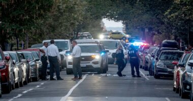 DC’s 100th homicide of year puts popular neighborhood on edge as police hunt for killer