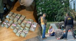 DEA makes mass arrests in New Hampshire fentanyl and meth bust tied to Sinaloa cartel