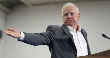 DNC Summer Meeting Shows Exactly Why They're Failing