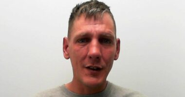 Dad stabbed man to death to protect family after gang burst into home