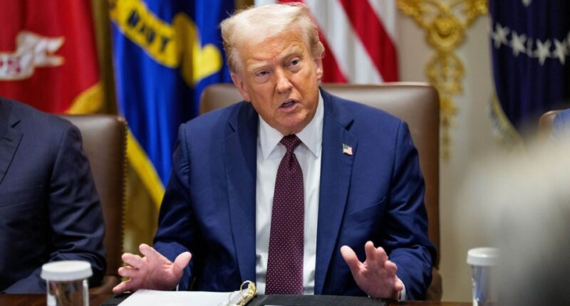 Donald Trump at a cabinet meeting.