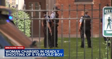 Danya Bell charged in connection with Kenwood, Chicago shooting that killed child in 4400-block of South Greenwood Avenue: police