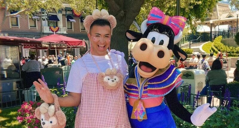 Dark secrets of adult Disney addicts: Sex, betrayal and bankruptcy
