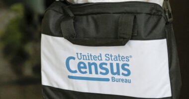 DeSantis floats mid-decade census count; critics pushback