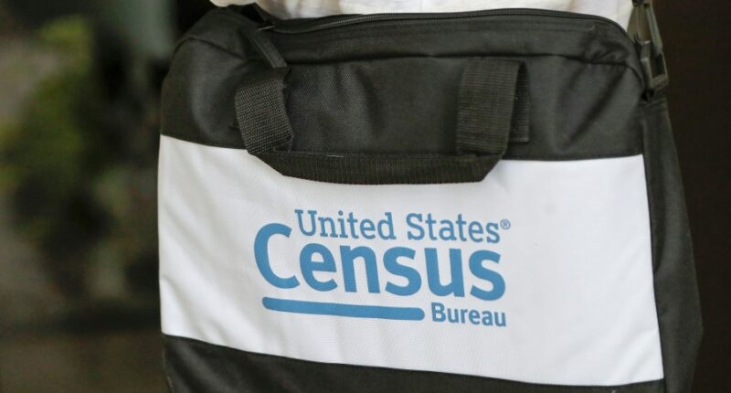 DeSantis floats mid-decade census count; critics pushback