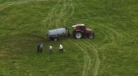 Tractor spreading manure on a field.