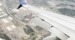 broken wing