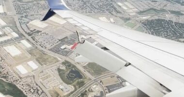 broken wing