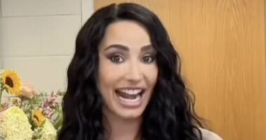 Demi Lovato shocks fans as she reunites with ex boyfriend Joe Jonas