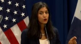 Democrat insists that safety threats 'don't matter to many Americans'