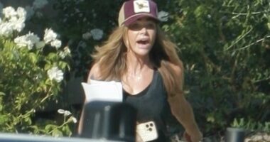Denise Richards seen confronted by cops during visit to ex's home