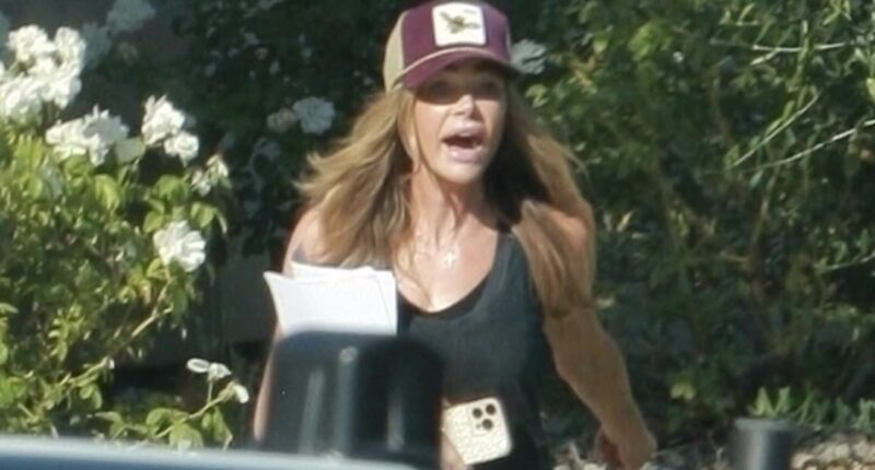 Denise Richards seen confronted by cops during visit to ex's home