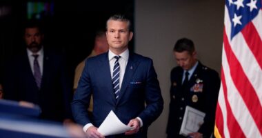 Department of Defense recruiting civilian volunteers for Trump admin's immigration crackdown operations