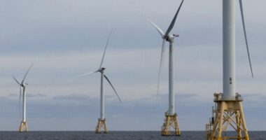 Department of Transportation pulls $679M in funds from offshore wind projects
