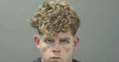 Mugshot of Andrew McGann.