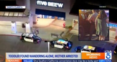 Diaper-clad girl found wandering streets with iPad: Cops