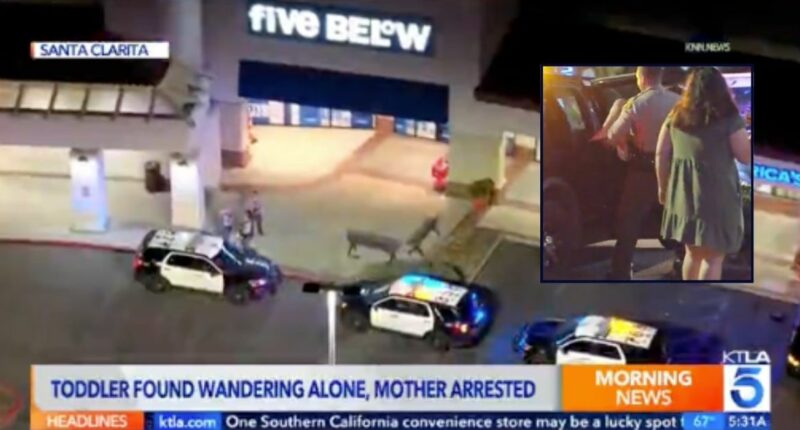 Diaper-clad girl found wandering streets with iPad: Cops
