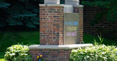 Diocese of St. Petersburg responds after Minneapolis church shooting