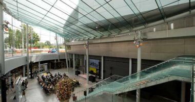 Director warns that the Van Gogh Museum may close if the Dutch government doesn't help fund repairs