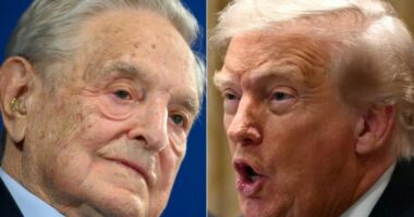 A composite image of George Soros and Donald Trump.