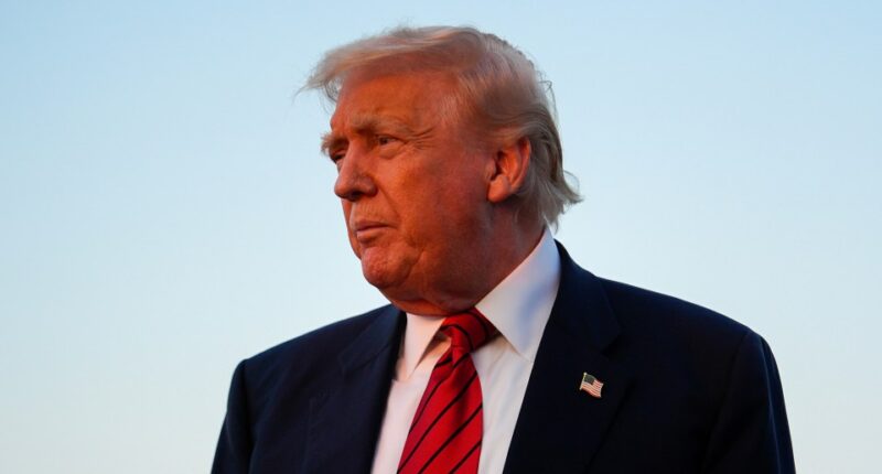 Photo of Donald Trump.