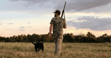 Dove hunting season to open September