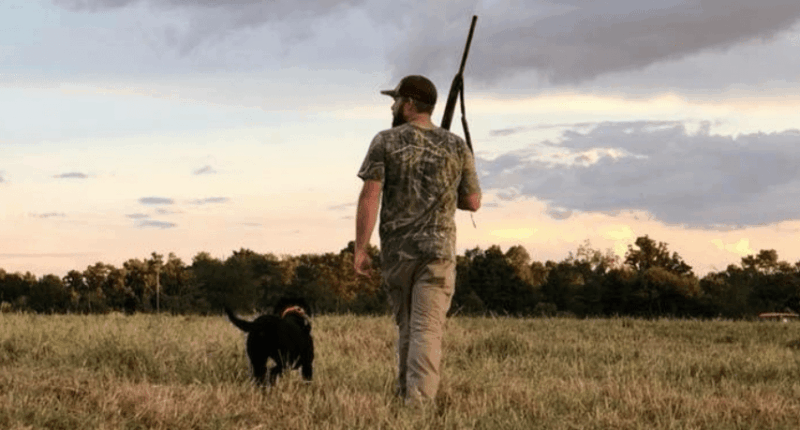 Dove hunting season to open September