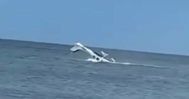 Dramatic video captures moment pilot is rescued from submerged plane