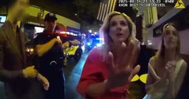 Drunk Dem official who 'embarrassed herself' gets swift reality check