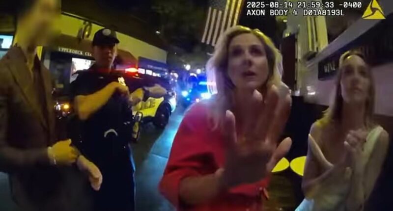 Drunk Dem official who 'embarrassed herself' gets swift reality check