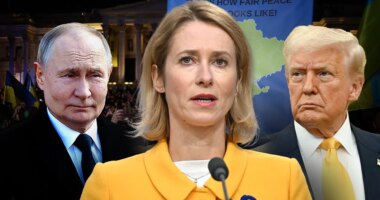 EU hits back at Trump, Zelenskyy comments, no concessions in Ukraine before Putin ceasefire agreement