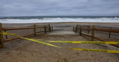 East Coast beaches hit with 'fecal contamination' warnings ahead of Labor Day weekend