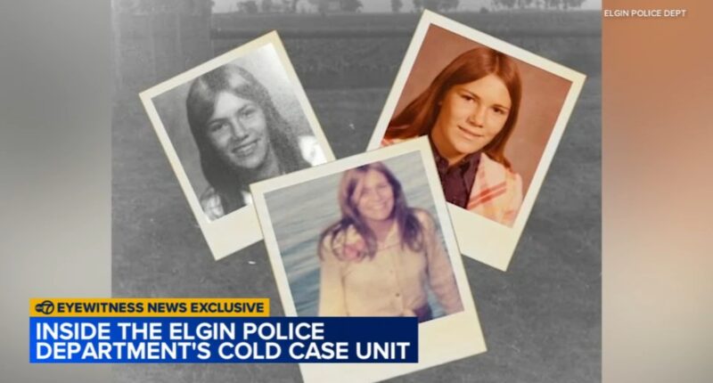 Elgin Police Department cold case podcast 'Somebody Knows Something' explores new unsolved crimes after Karen Schepers' body found