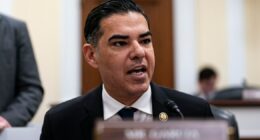 Epstein's estate set to provide 'birthday book' to Congress, House Democrat says