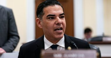 Epstein's estate set to provide 'birthday book' to Congress, House Democrat says