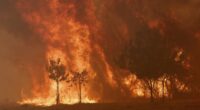 Europe burns as deadly infernos tear through Spain and Portugal