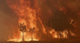 Europe burns as deadly infernos tear through Spain and Portugal
