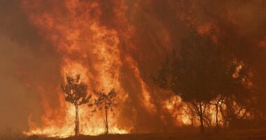 Europe burns as deadly infernos tear through Spain and Portugal