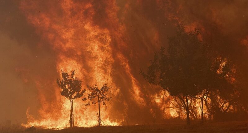 Europe burns as deadly infernos tear through Spain and Portugal