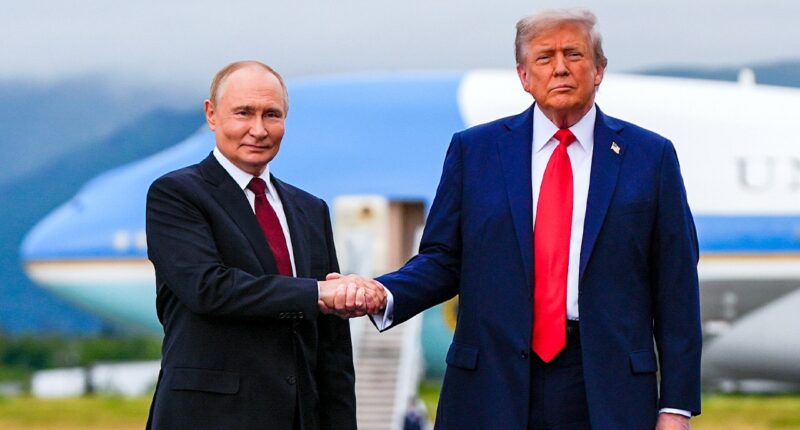 European 'coalition of the willing' forms united front as Trump pushes Putin-Zelenskyy summit
