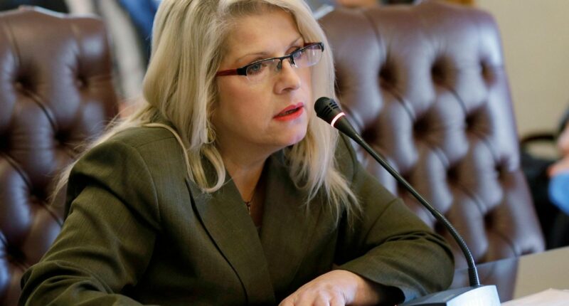 Ex-Arkansas State Senator Fatally Stabbed, Her Killer Seen on Surveillance Footage Clutching Bloody Knife