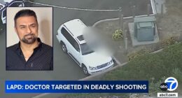 Ex-wife accused of hiring hitman to kill doctor faces suit