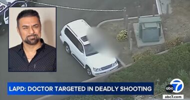 Ex-wife accused of hiring hitman to kill doctor faces suit
